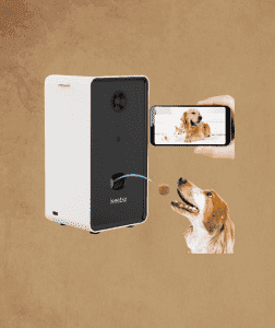 Iseebiz Pet Camera with Treat Dispenser
